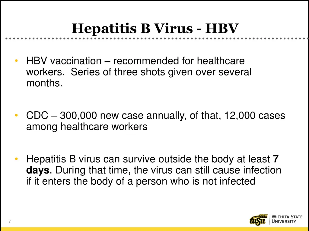 hepatitis b virus hbv