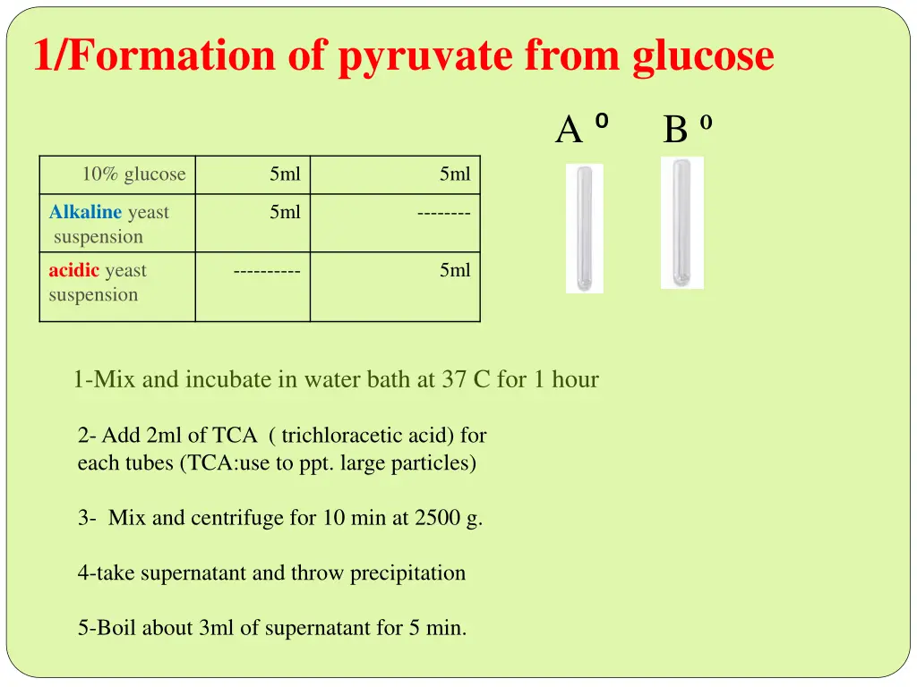 1 formation of pyruvate from glucose