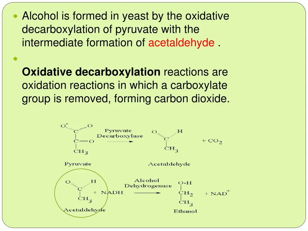 alcohol is formed in yeast by the oxidative