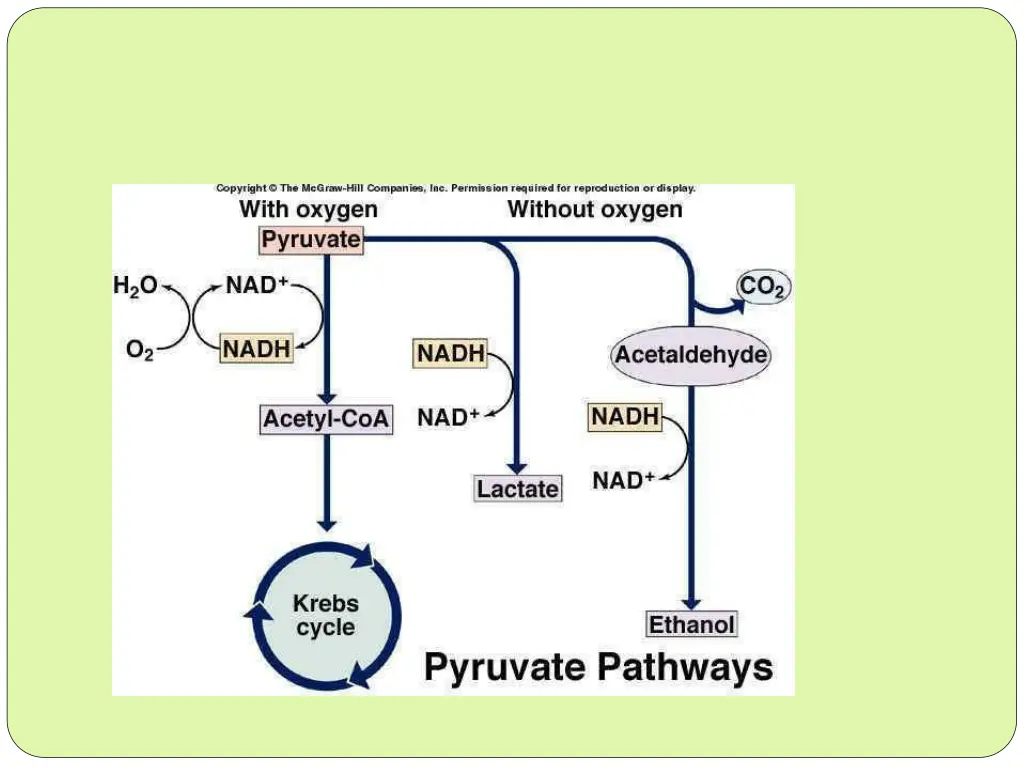 slide7