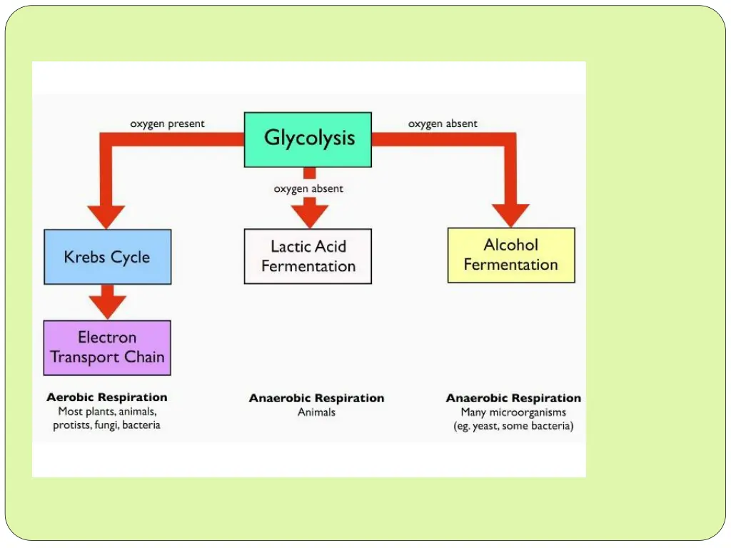 slide8
