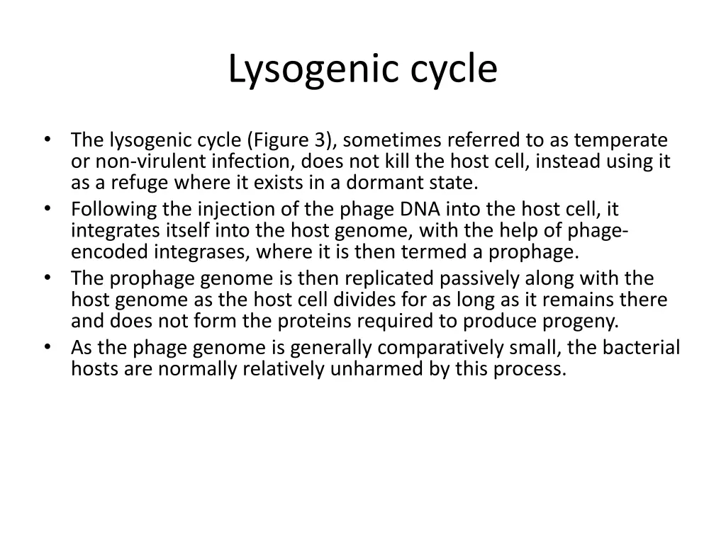 lysogenic cycle