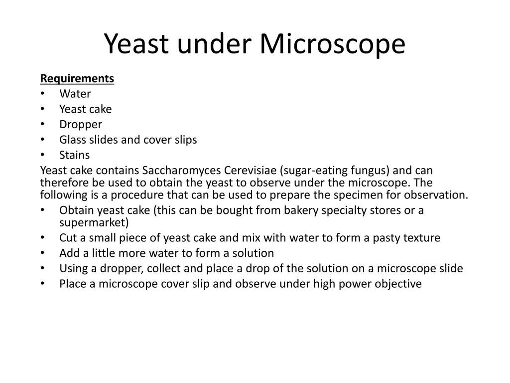 yeast under microscope