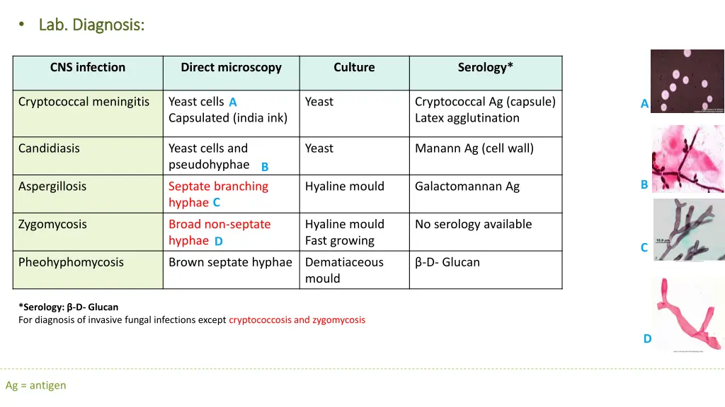 lab diagnosis lab diagnosis