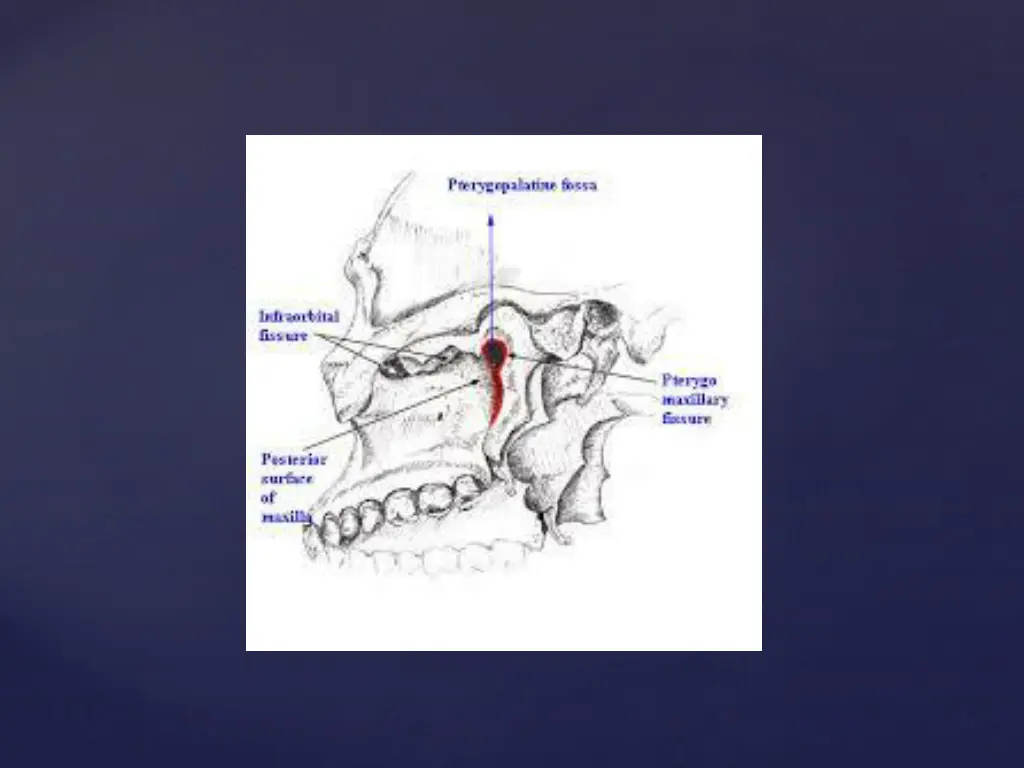 slide31
