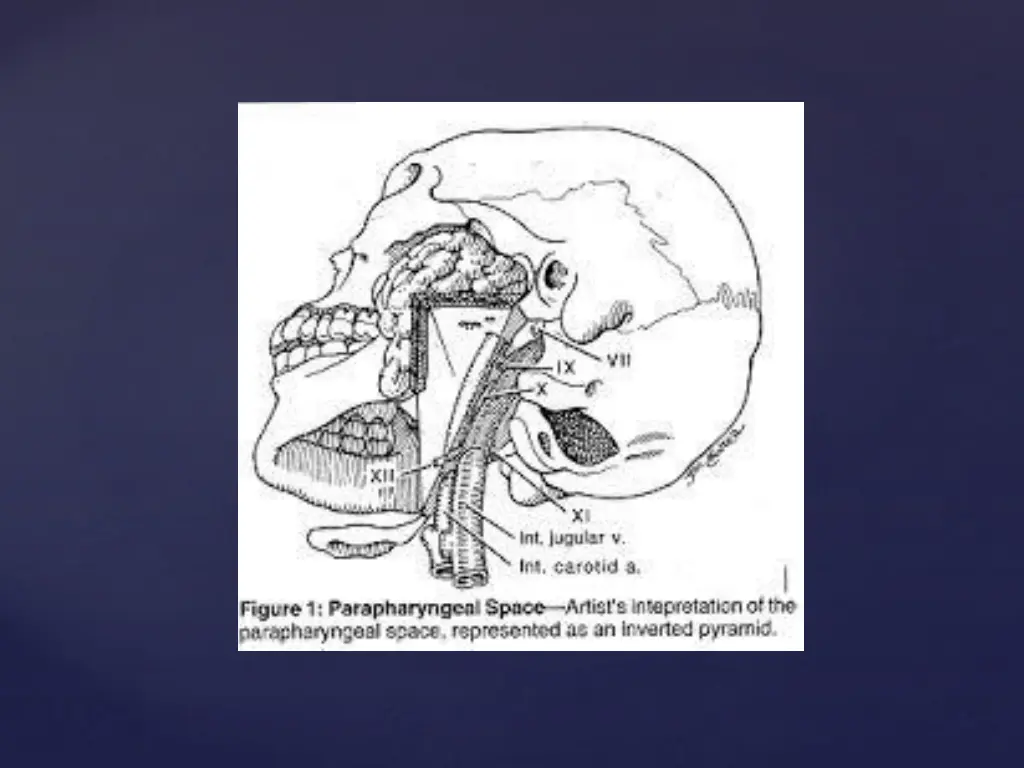 slide7