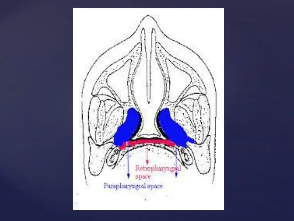 slide8