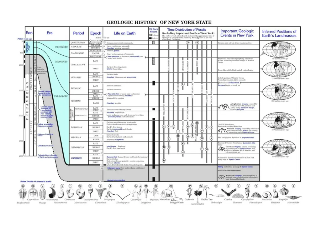 slide4