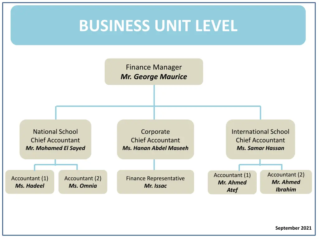 business unit level