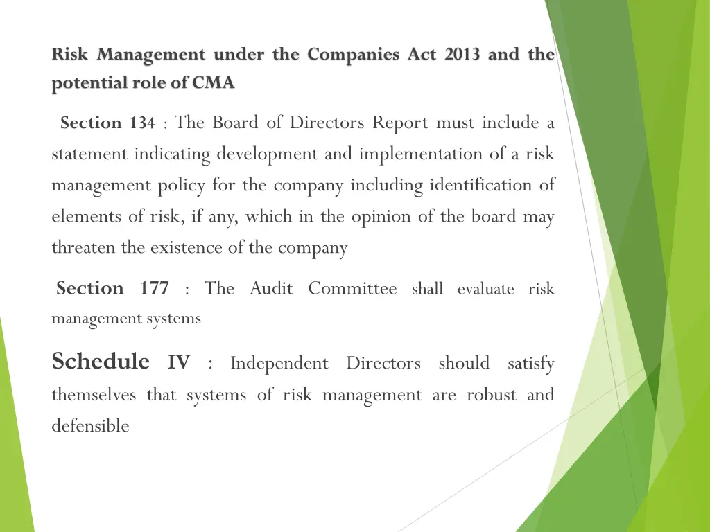 risk management under the companies act 2013