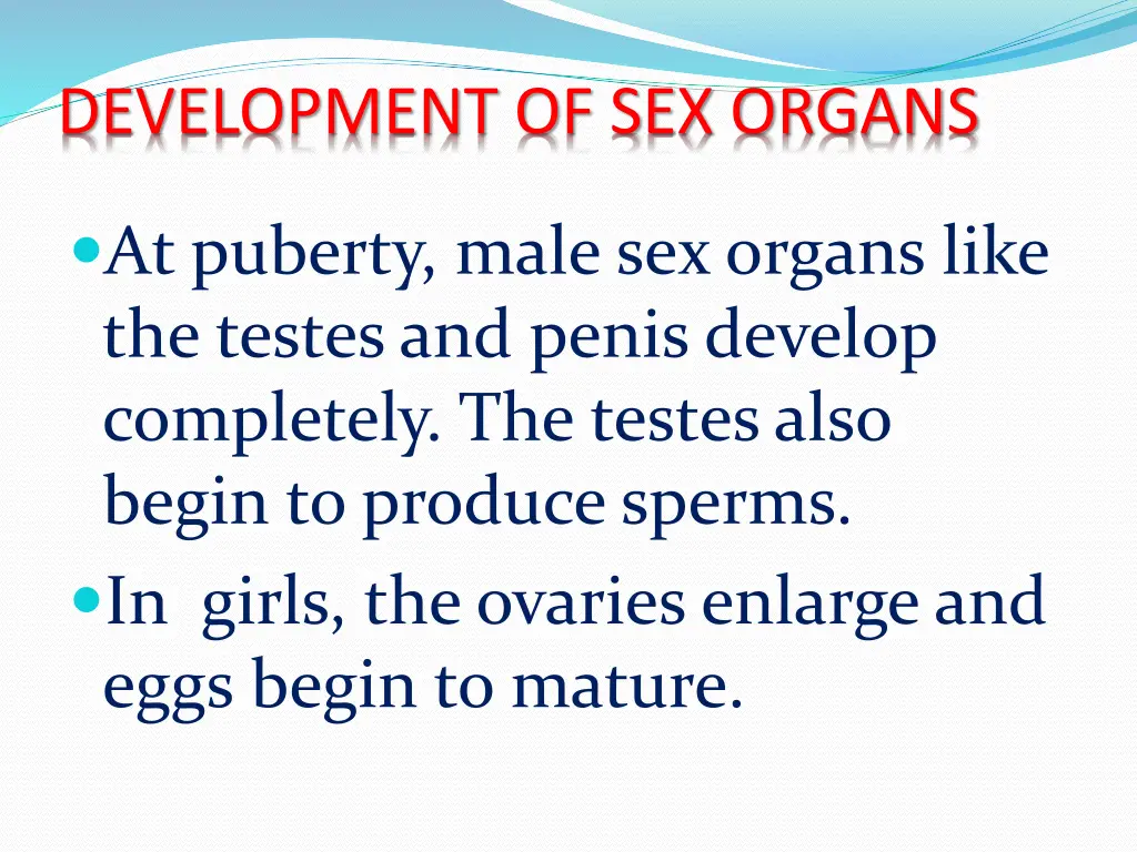 development of sex organs