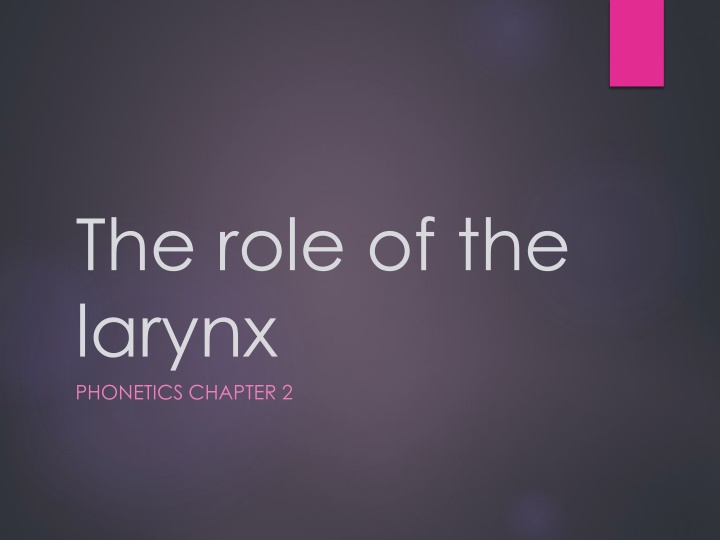 the role of the larynx phonetics chapter 2