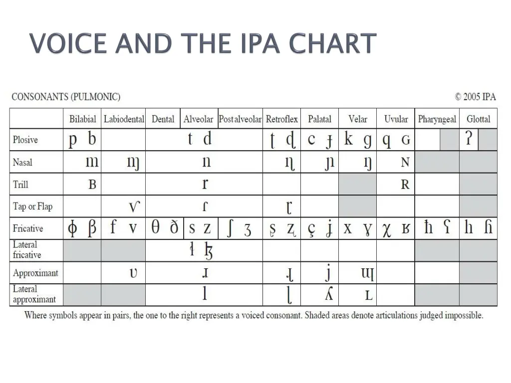 slide11