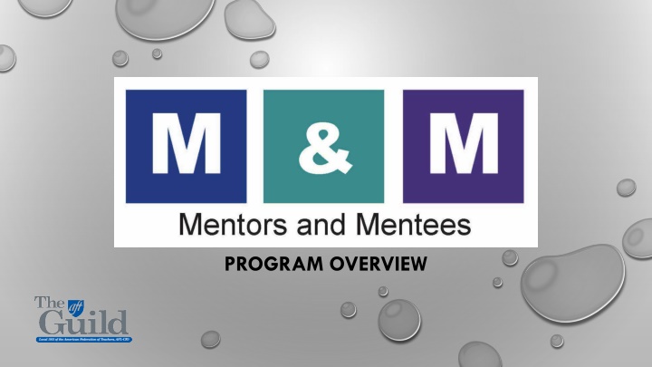 program overview