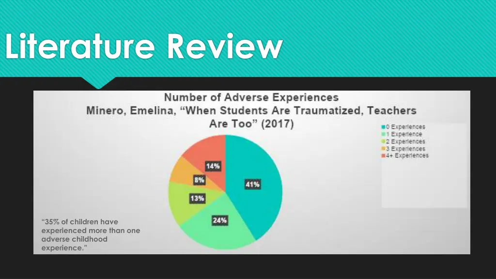 literature review
