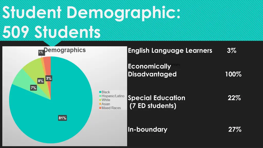 student demographic 509 students