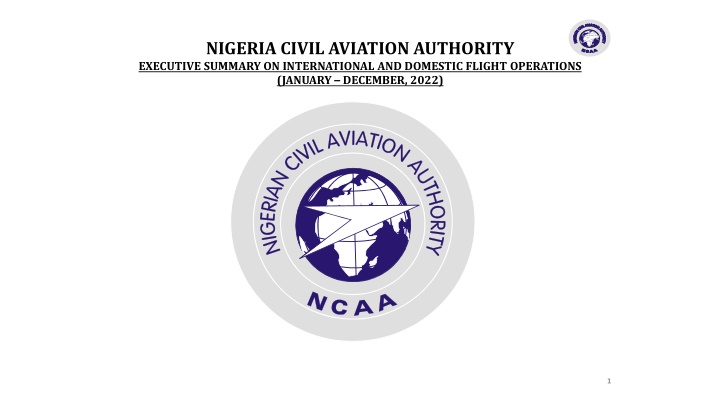 nigeria civil aviation authority executive