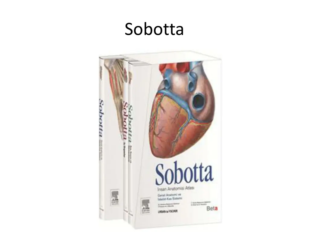 sobotta