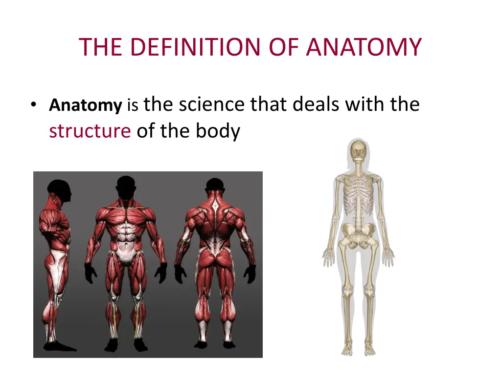 the definition of anatomy