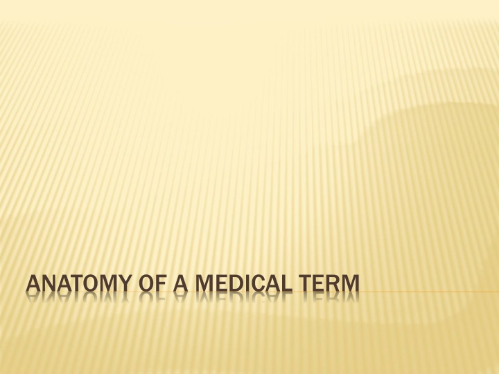 anatomy of a medical term