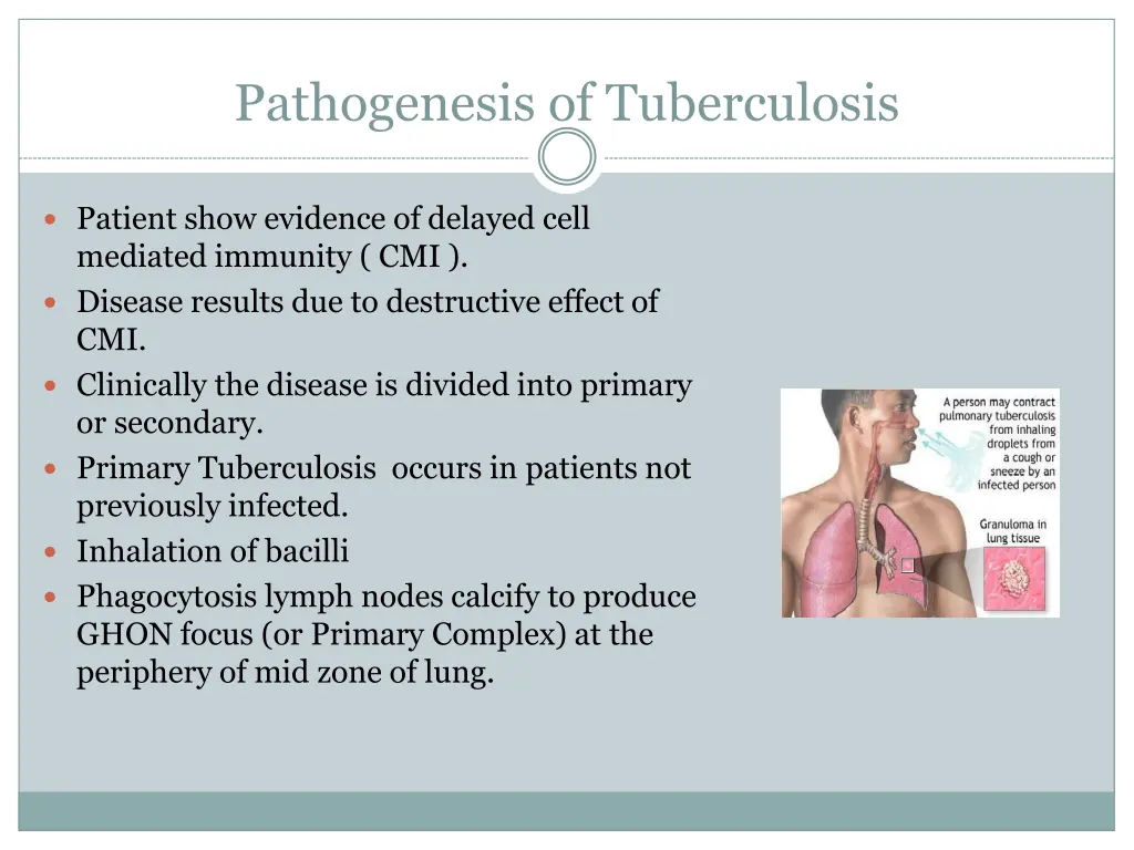 pathogenesis of tuberculosis 1