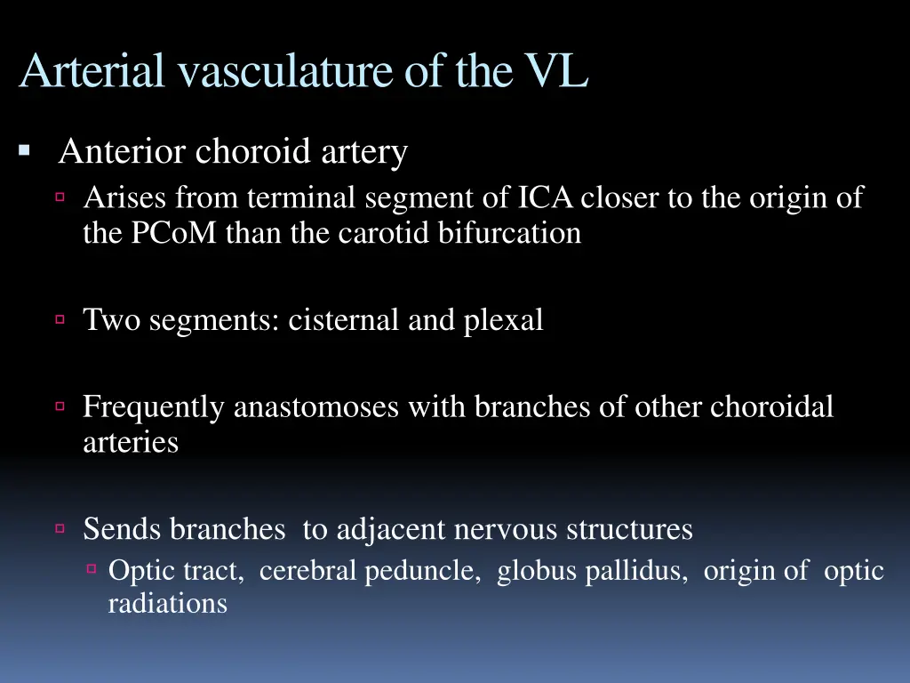 arterial vasculature of the vl