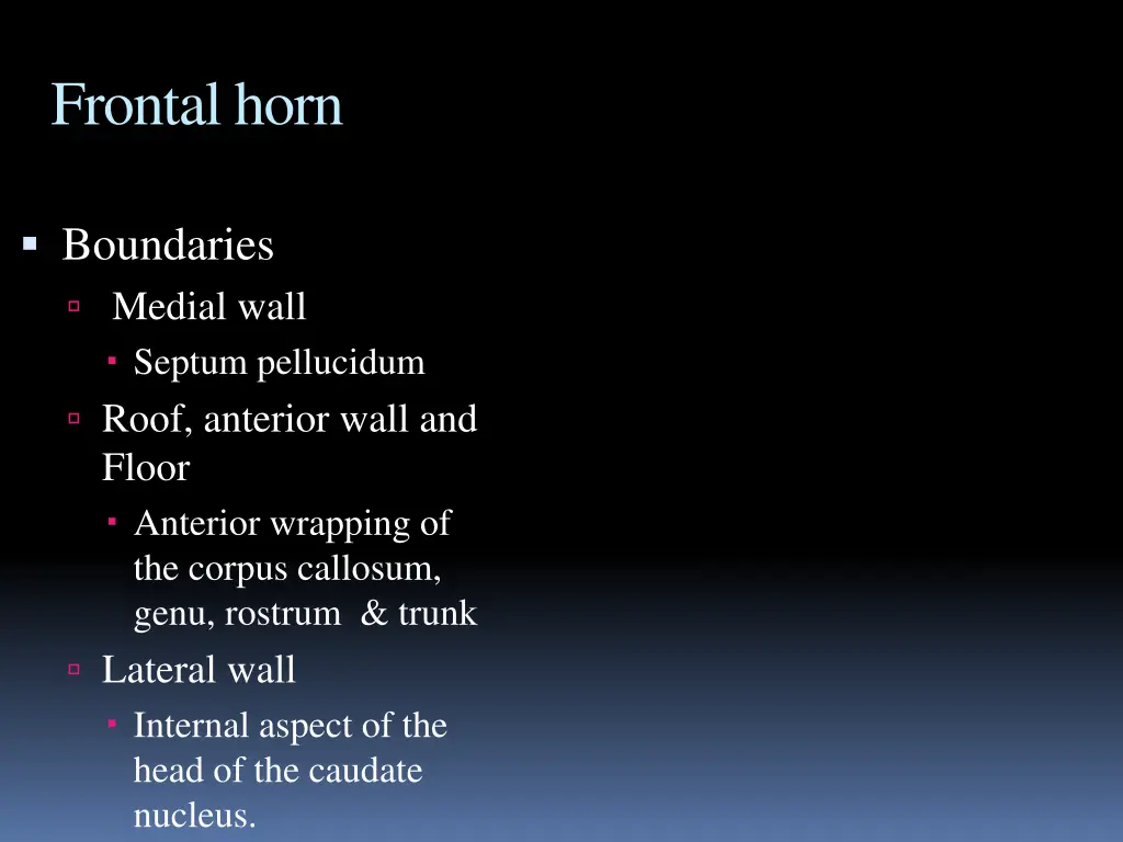 frontal horn
