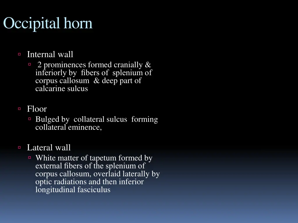 occipital horn