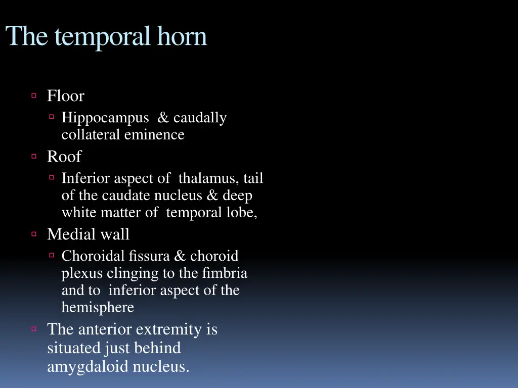 the temporal horn