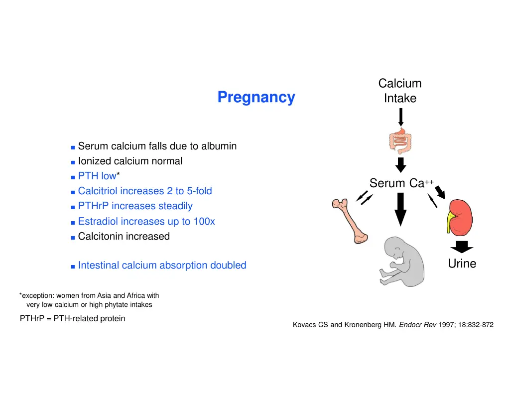 calcium intake