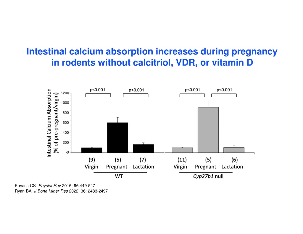 intestinal calcium absorption increases during