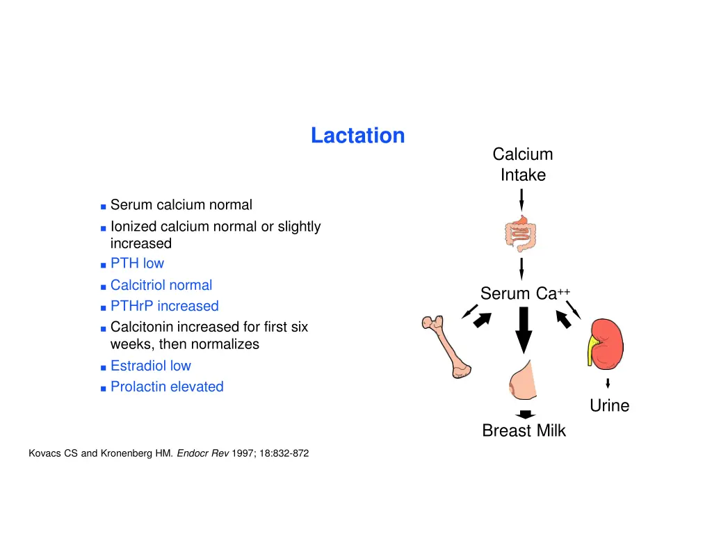 lactation 2