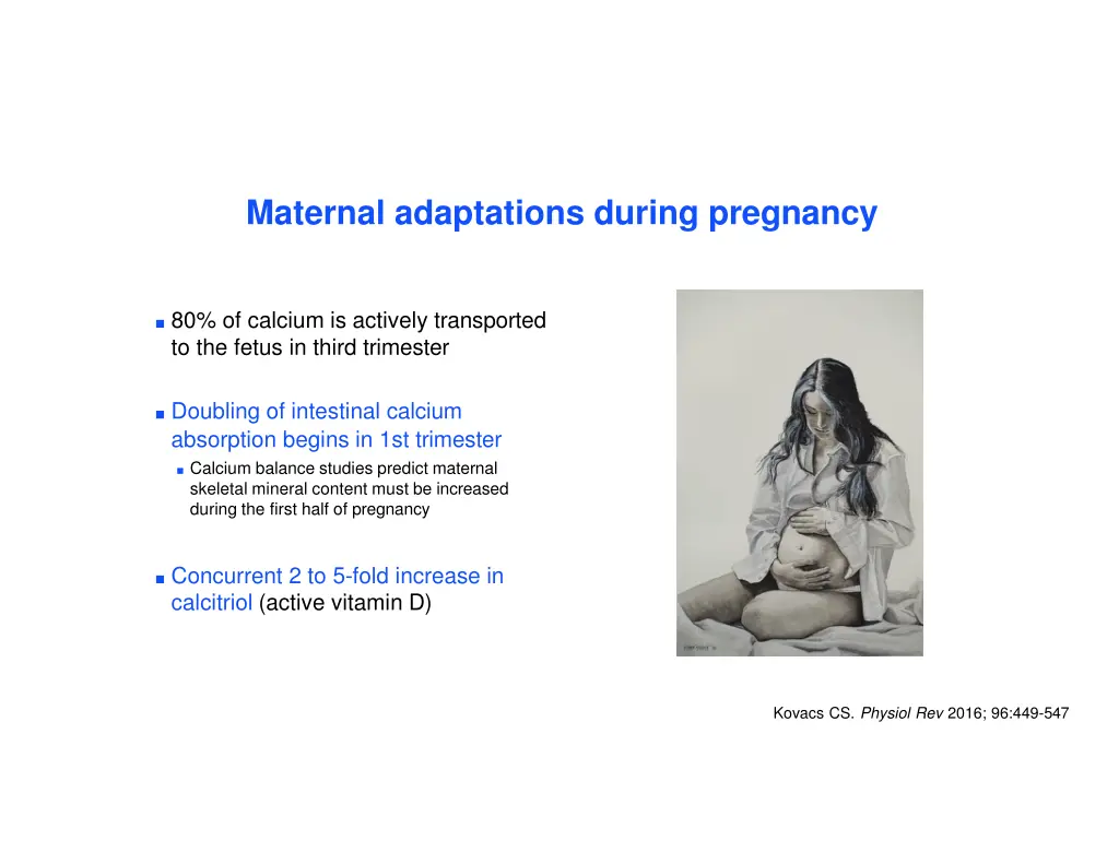 maternal adaptations during pregnancy