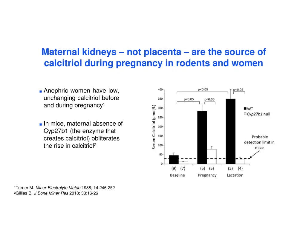 maternal kidneys not placenta are the source