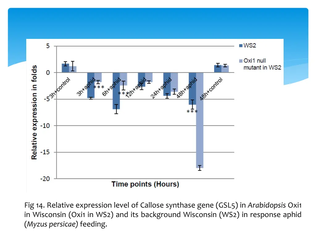 fig 14 relative expression level of callose