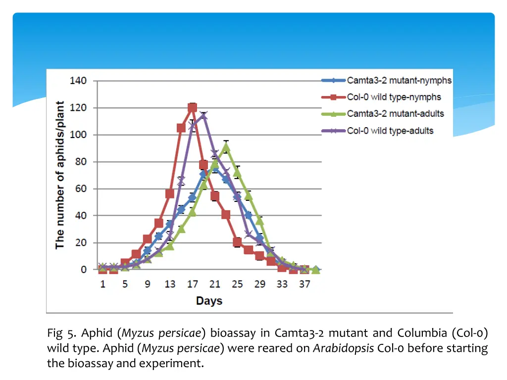 fig 5 aphid myzus persicae bioassay in camta3