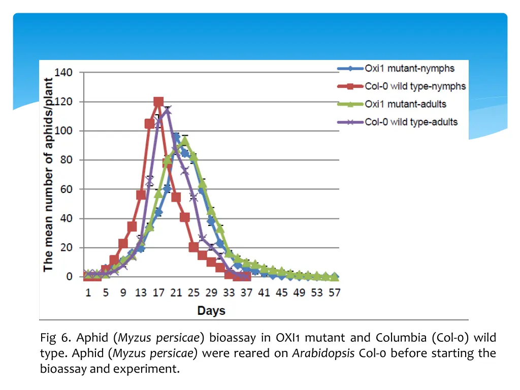fig 6 aphid myzus persicae bioassay in oxi1