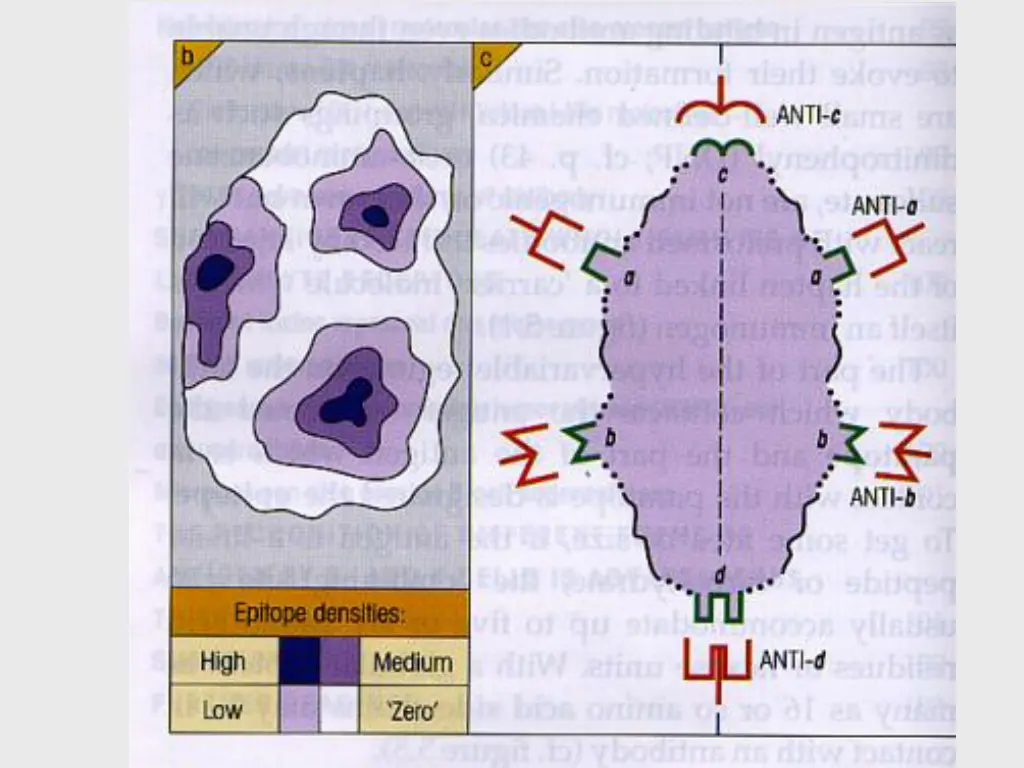 slide11