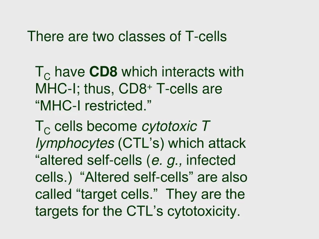 there are two classes of t cells