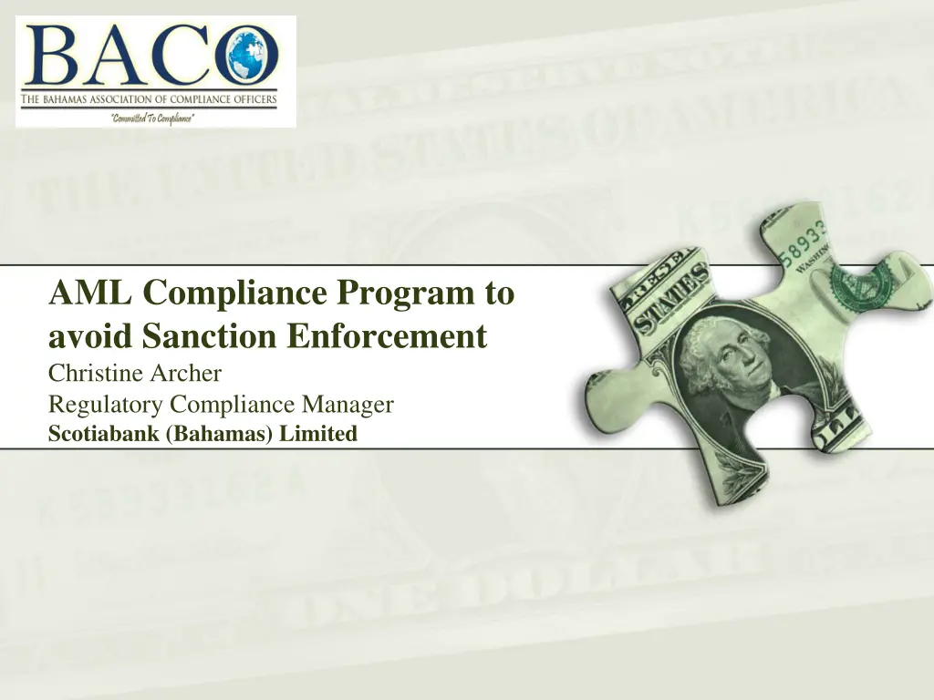 aml compliance program to avoid sanction