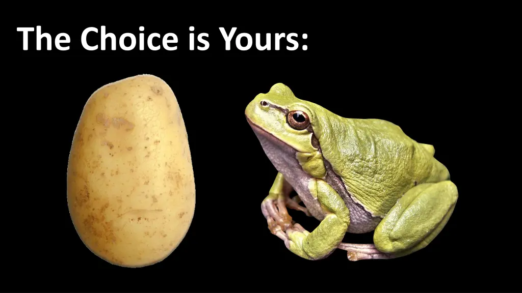 the choice is yours
