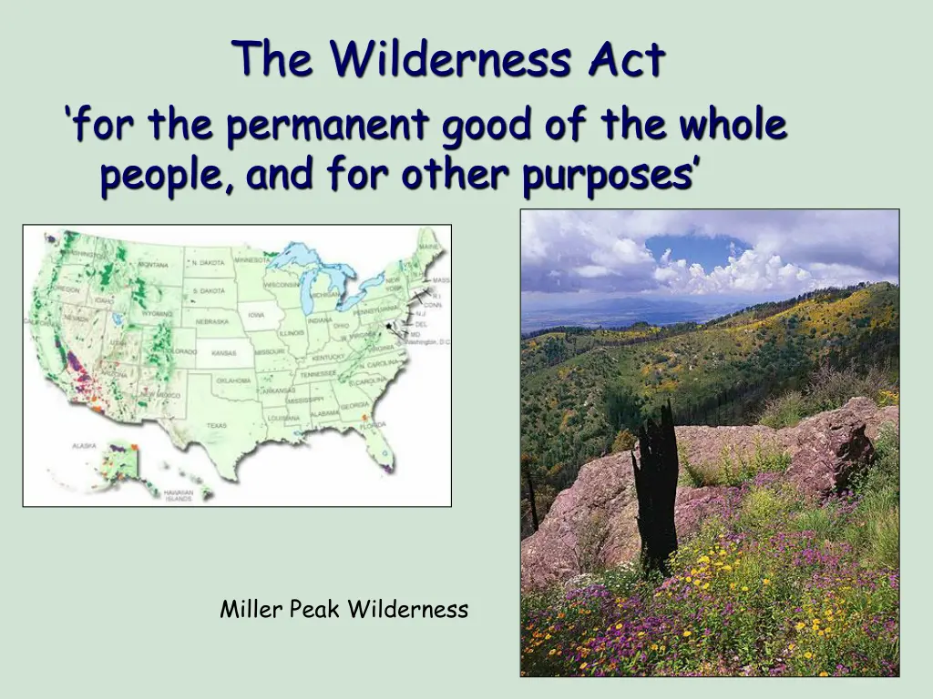 the wilderness act for the permanent good