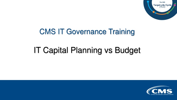 cms it governance training