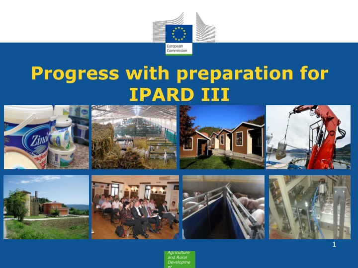 progress with preparation for ipard iii