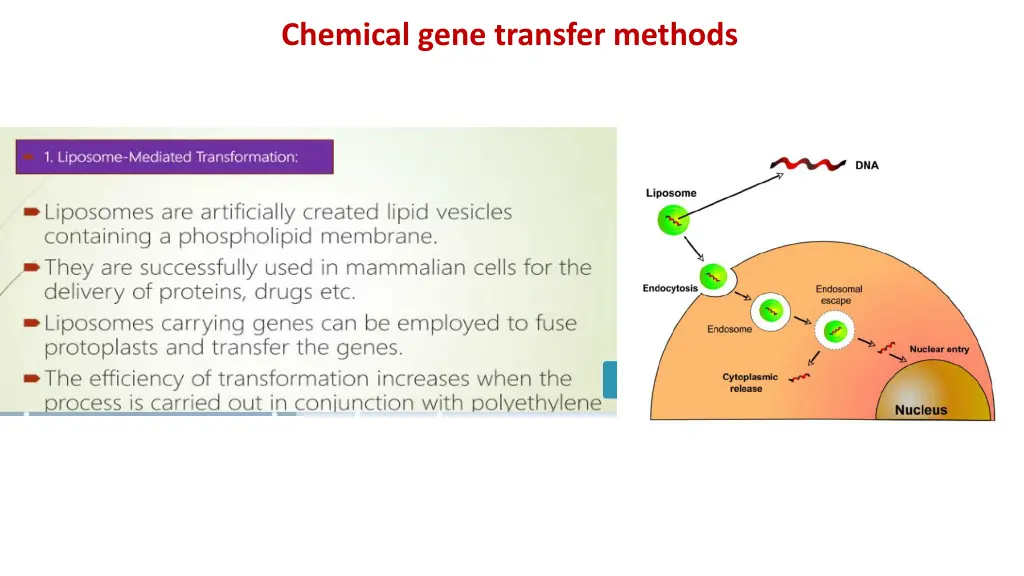 chemical gene transfer methods