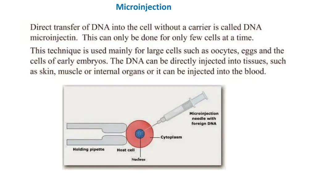 microinjection