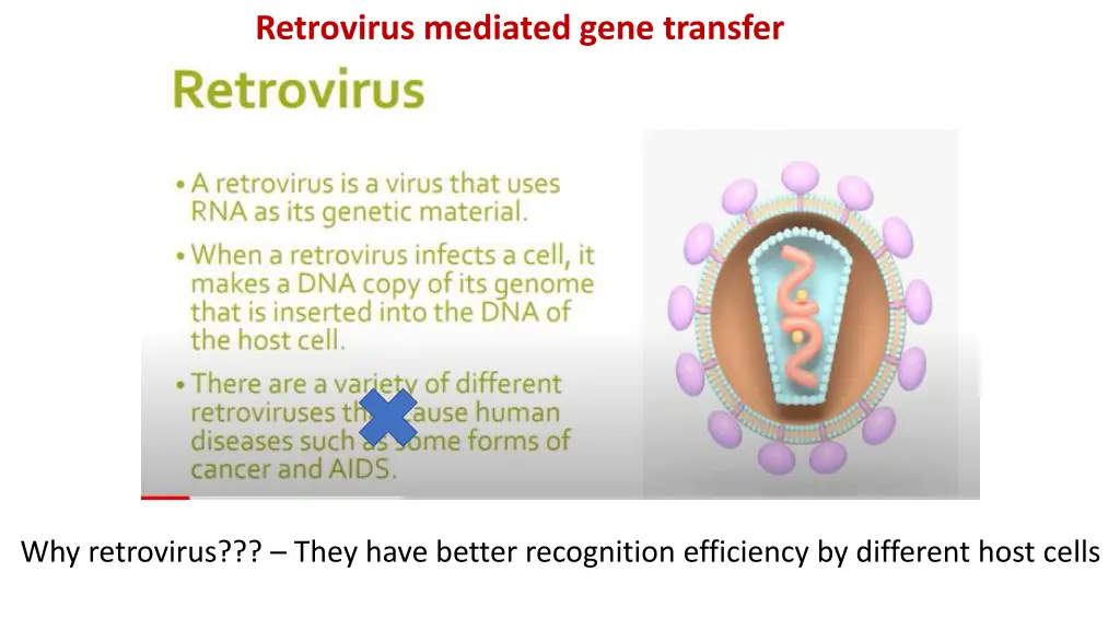 retrovirus mediated gene transfer