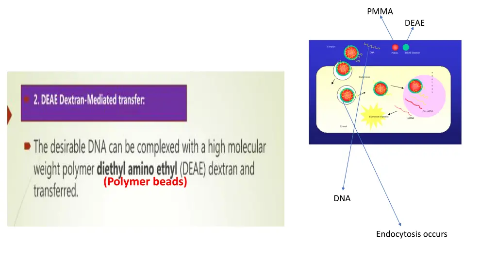 slide7