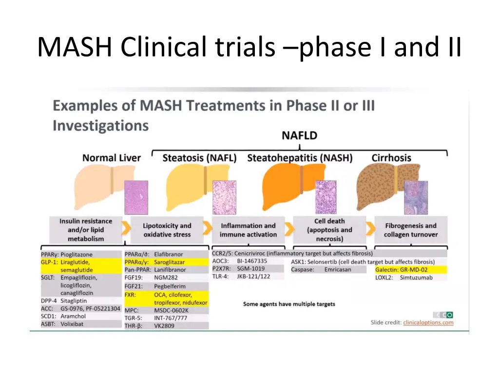 mash clinical trials phase i and ii
