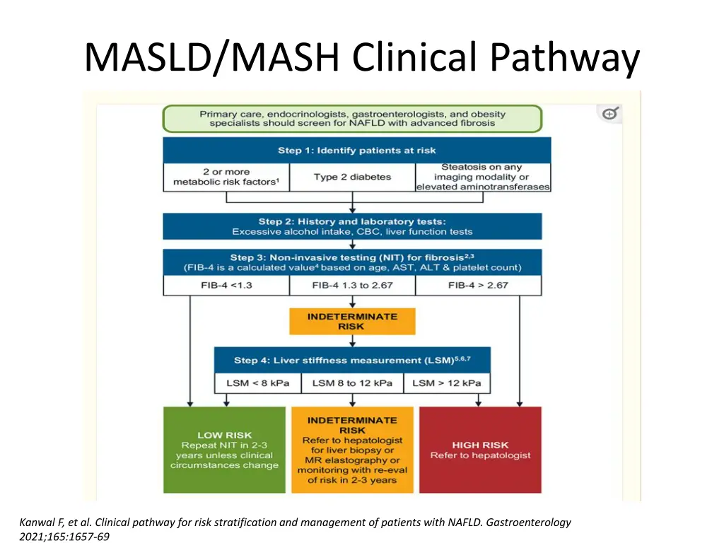 masld mash clinical pathway